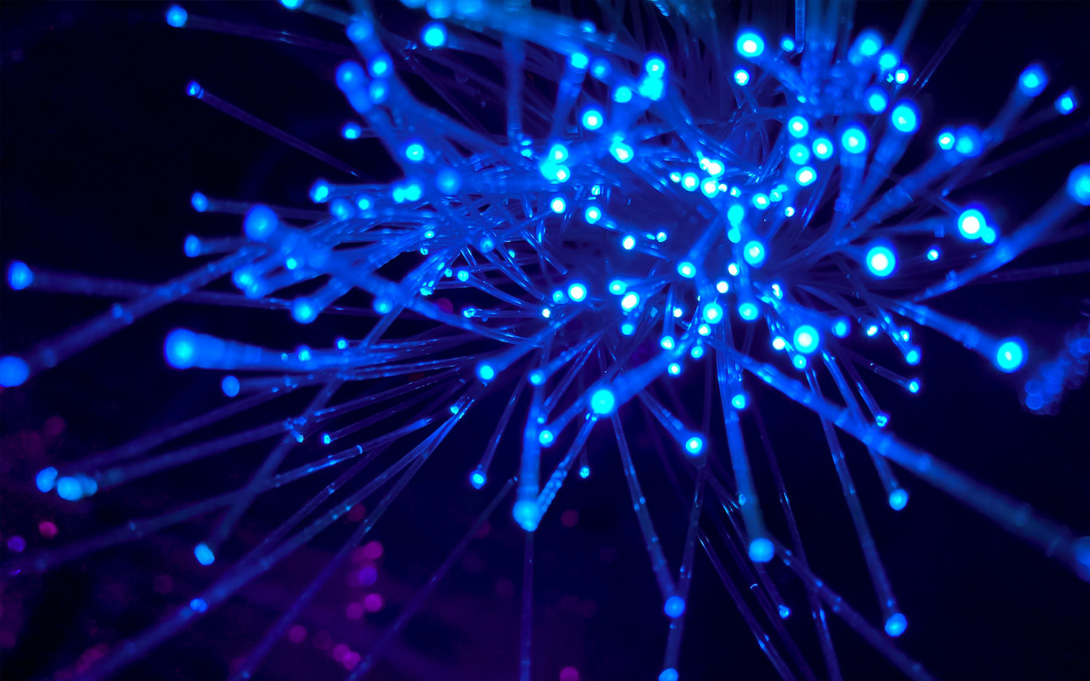 Photo of fiber optics