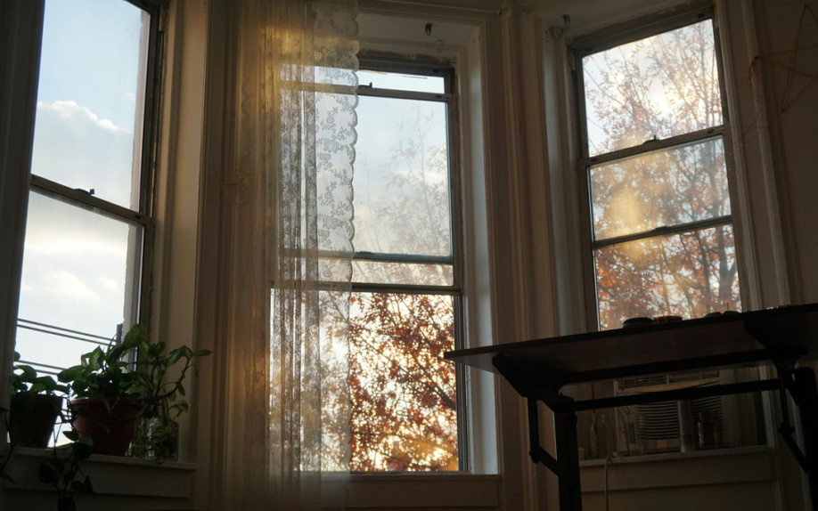 Photo of windows from inside house with fall-colored tress outside.