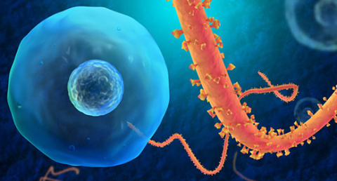 Carl Simon talks Ebola and the power of quarantine