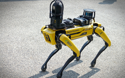 Photo of a Boston Dynamics robot dog standing