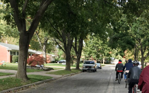 people riding bikes on a street