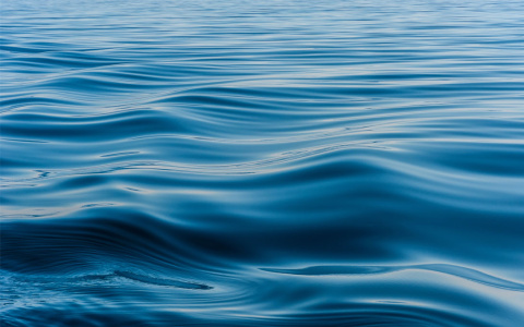 surface of lake